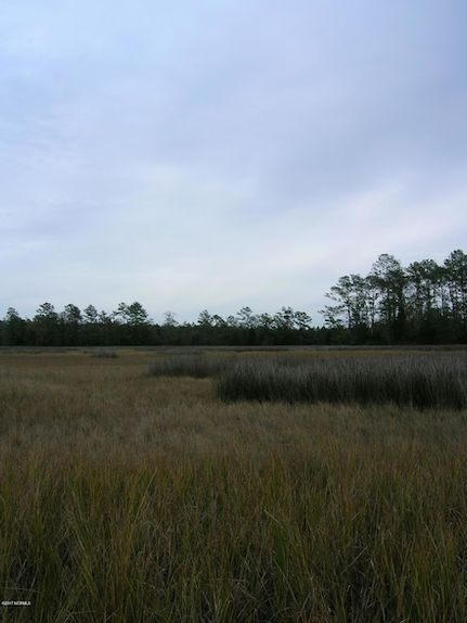 Timberland Property for sale in Carteret County, North Carolina