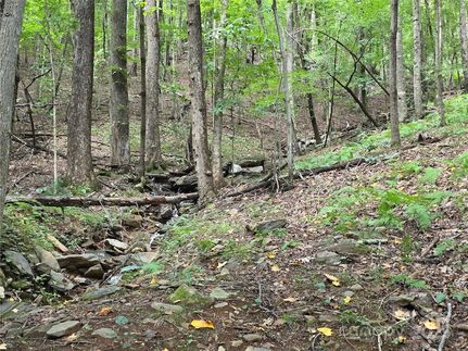 Undeveloped Land for sale in Henderson County, North Carolina