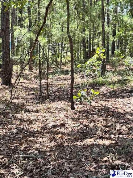 Homesite for sale in Chesterfield County, South Carolina