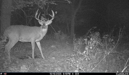 Land for sale in Waupaca County, Wisconsin