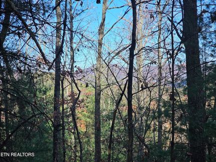 Homesite for sale in Blount County, Tennessee