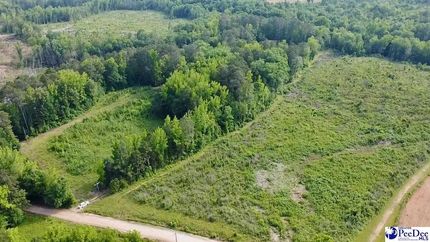 Undeveloped Land for sale in Chesterfield County, South Carolina