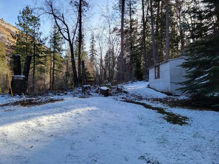 Undeveloped Land for sale in Columbia County, Washington