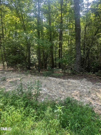 Undeveloped Land for sale in Harnett County, North Carolina