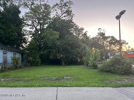 Undeveloped Land for sale in Duval County, Florida