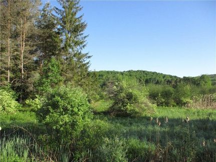Land for sale in Chenango County, New York