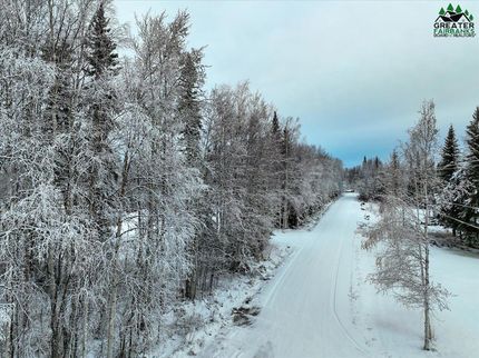 Land for sale in Fairbanks North Star Borough, Alaska