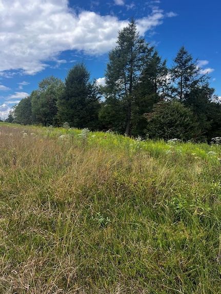 Recreational Property for sale in Nicholas County, West Virginia