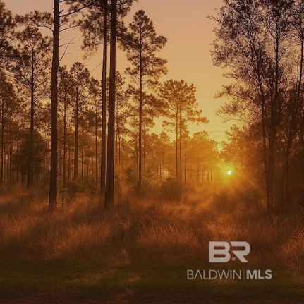 Timberland Property for sale in Baldwin County, Alabama