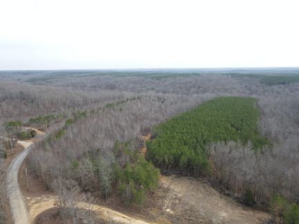 Land for sale in Stewart County, Tennessee