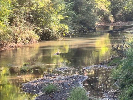 Waterfront Property for sale in Monroe County, Georgia