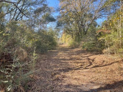 Hunting Property for sale in Holmes County, Florida