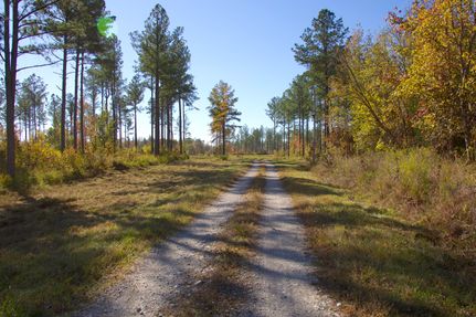 Hunting Property for sale in Hardeman County, Tennessee