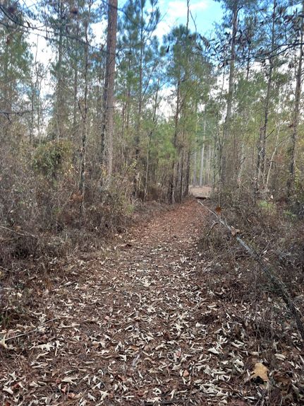 Homesite for sale in Aiken County, South Carolina