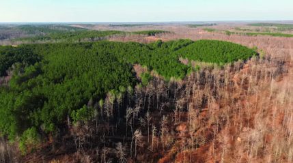 Land for sale in Houston County, Tennessee