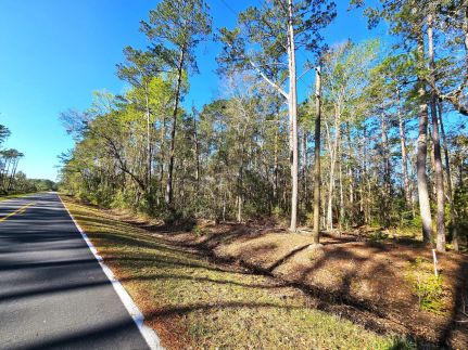 Land for sale in Camden County, Georgia