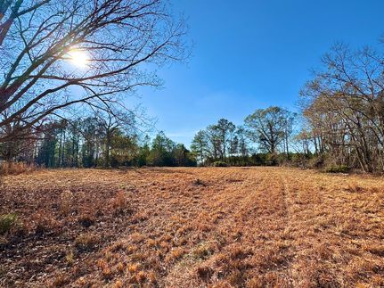 Land for sale in Johnson County, Georgia