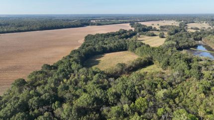 Undeveloped Land for sale in Oktibbeha County, Mississippi