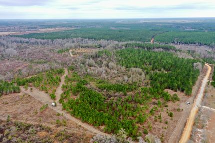 Timberland Property for sale in Ben Hill County, Georgia