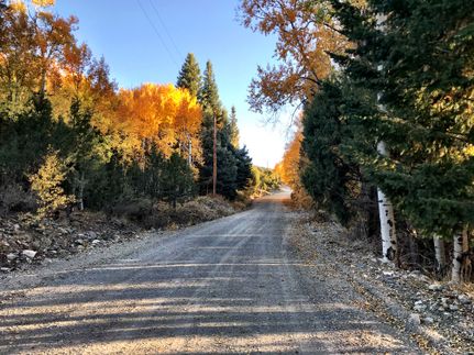 Land for sale in Alamosa County, Colorado