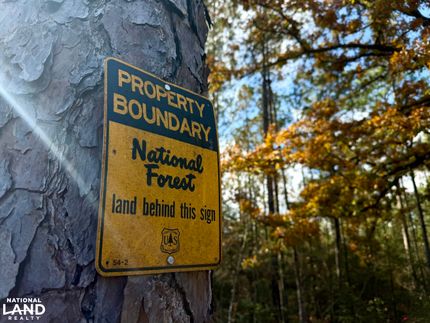 Hunting Property for sale in Perry County, Mississippi