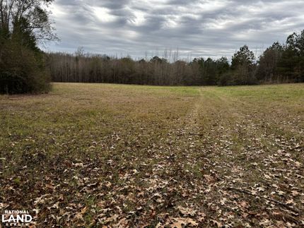 Hunting Property for sale in Lamar County, Alabama