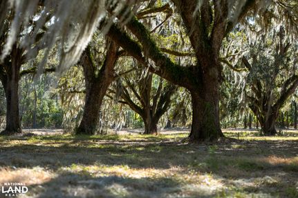 Homesite for sale in Georgetown County, South Carolina