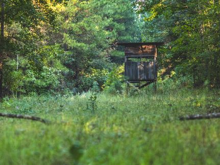 Timberland Property for sale in Rankin County, Mississippi