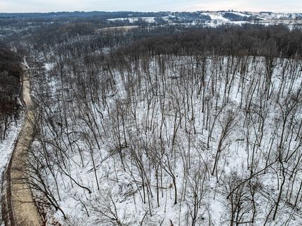 Timberland Property for sale in Allamakee County, Iowa