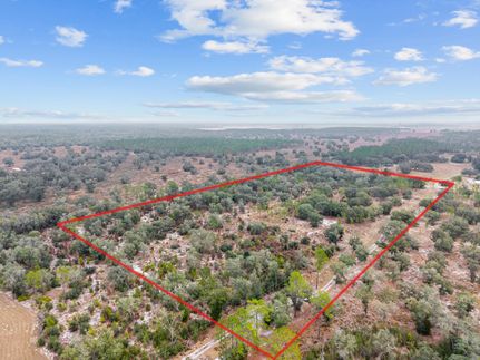 Farm and Ranch for sale in Levy County, Florida