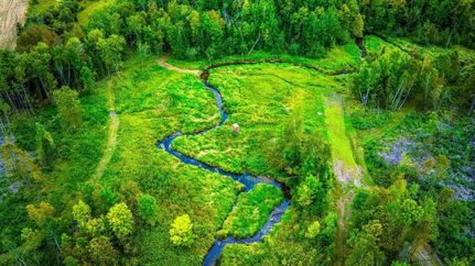 Land for sale in Beltrami County, Minnesota