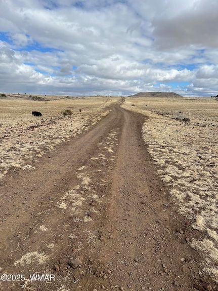 Undeveloped Land for sale in Apache County, Arizona