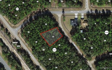 Land for sale in Citrus County, Florida