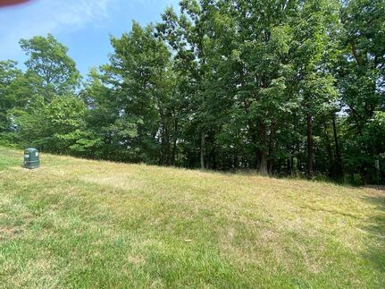 Undeveloped Land for sale in Franklin County, Virginia