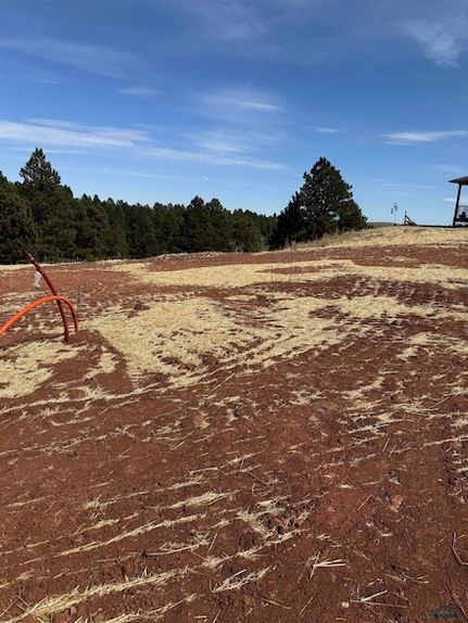 Undeveloped Land for sale in Pennington County, South Dakota