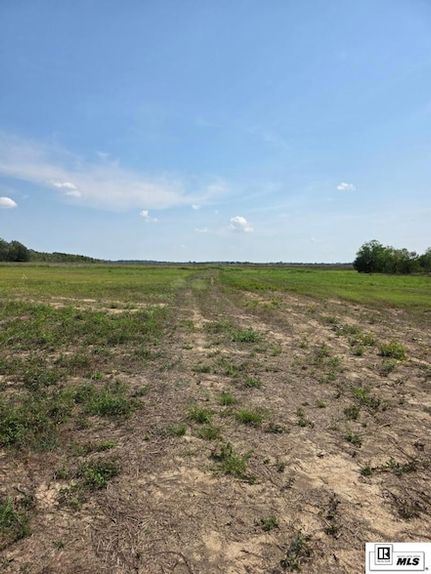 Land for sale in Richland Parish, Louisiana