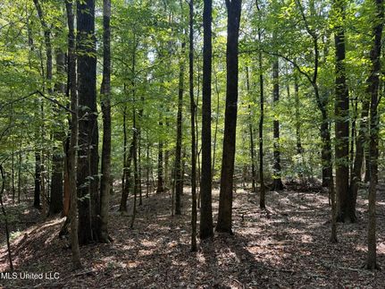 Undeveloped Land for sale in Yazoo County, Mississippi