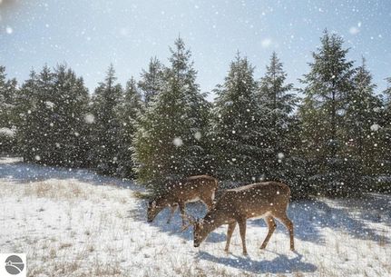 Land for sale in Grand Traverse County, Michigan