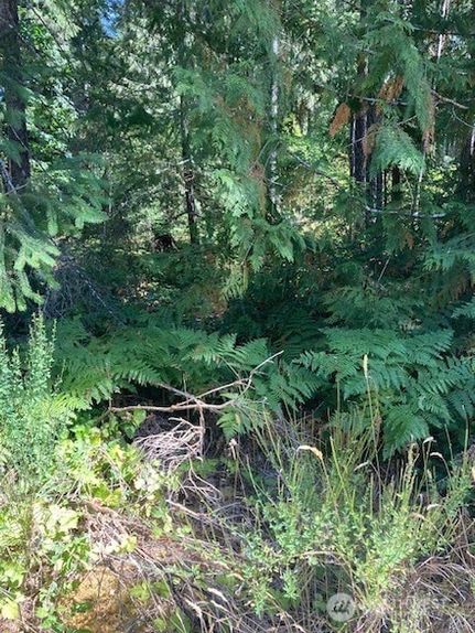 Homesite for sale in Mason County, Washington