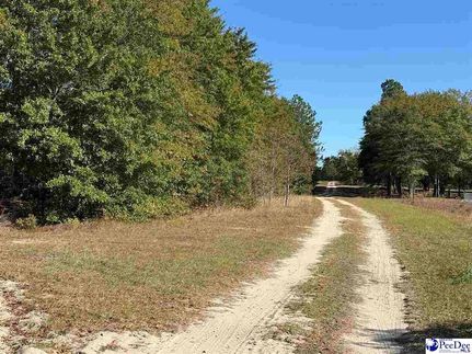 Land for sale in Chesterfield County, South Carolina