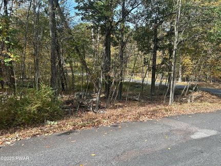 Homesite for sale in Pike County, Pennsylvania