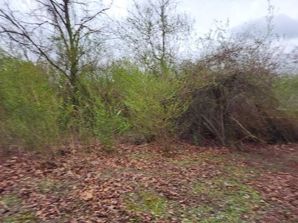 Homesite for sale in Cullman County, Alabama