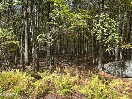 Homesite for sale in Pike County, Pennsylvania