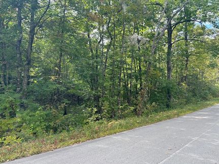 Homesite for sale in Penobscot County, Maine