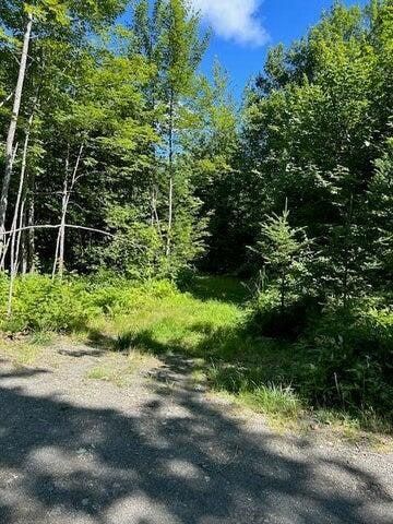 Land for sale in Piscataquis County, Maine