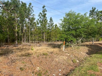 Land for sale in Darlington County, South Carolina