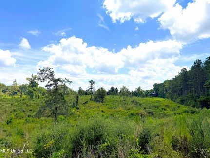 Undeveloped Land for sale in Pike County, Mississippi