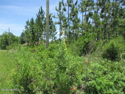 Homesite for sale in Nassau County, Florida