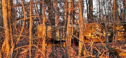 Land for sale in Colbert County, Alabama