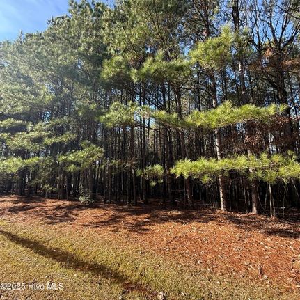 Land for sale in Perquimans County, North Carolina